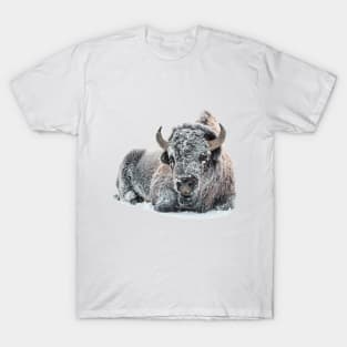 Image: Bison in snow T-Shirt